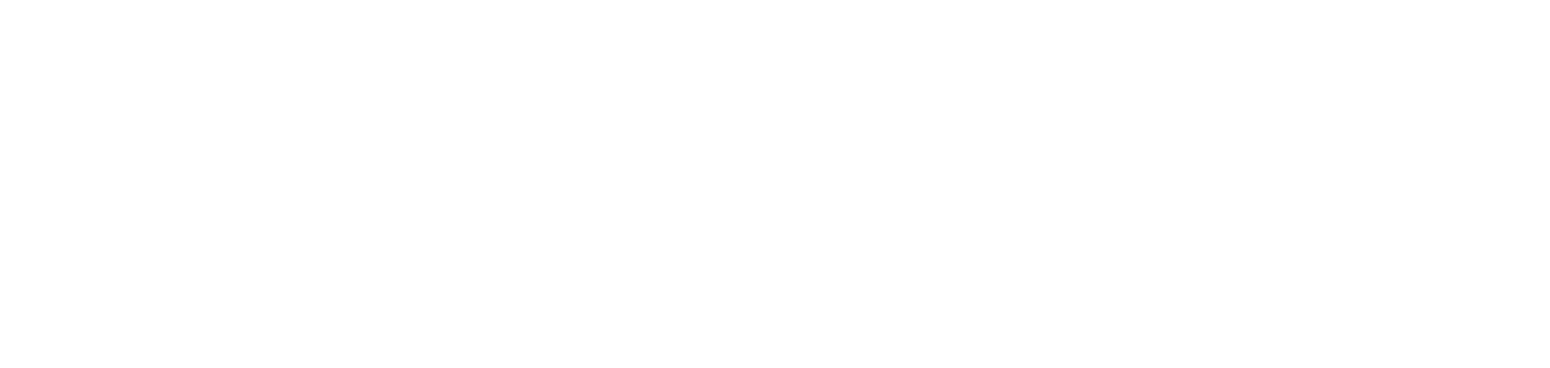 Targuage logo